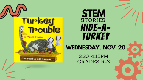 STEM Turkey