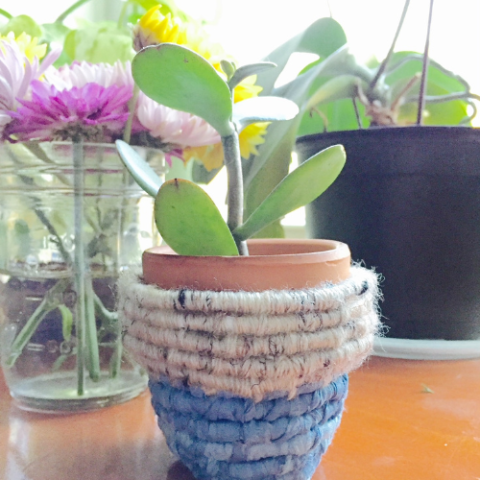 a potted plant sits on a table next to a vase of flowers