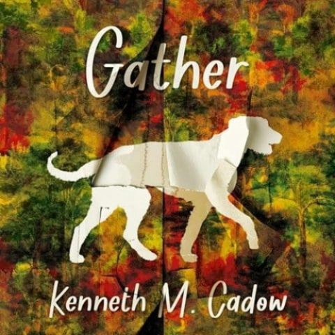 Gather book cover