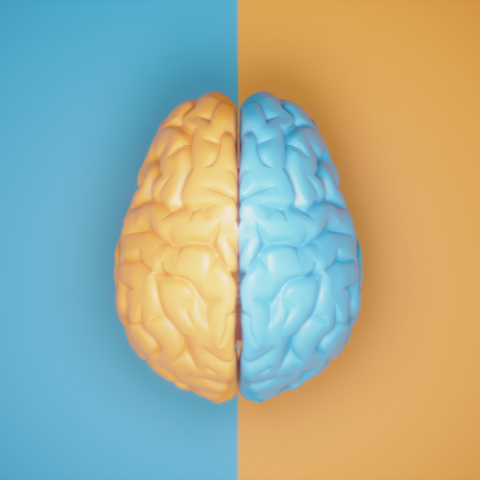 two halves of a human brain, one blue and one yellow