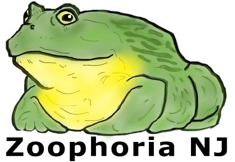 Green and yellow frog with company name Zoophoria NJ