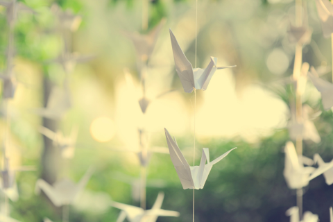 Hanging paper cranes