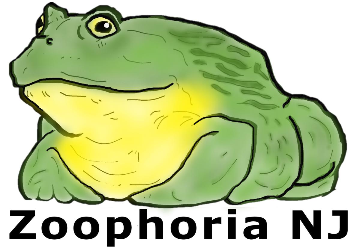Green and yellow frog with company name Zoophoria NJ