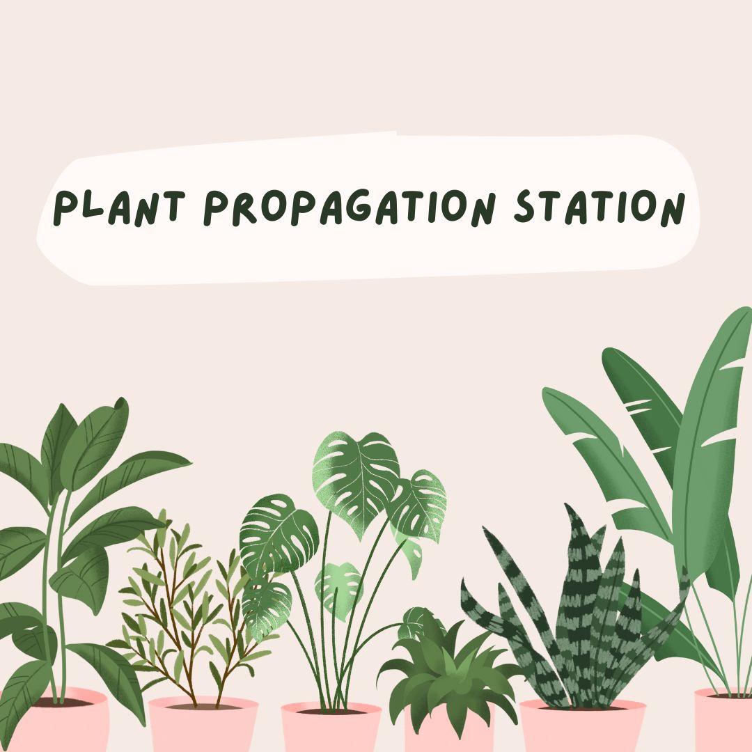 Plant Propagation Station text with illustrated house plants
